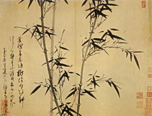 bambus-4.jpg