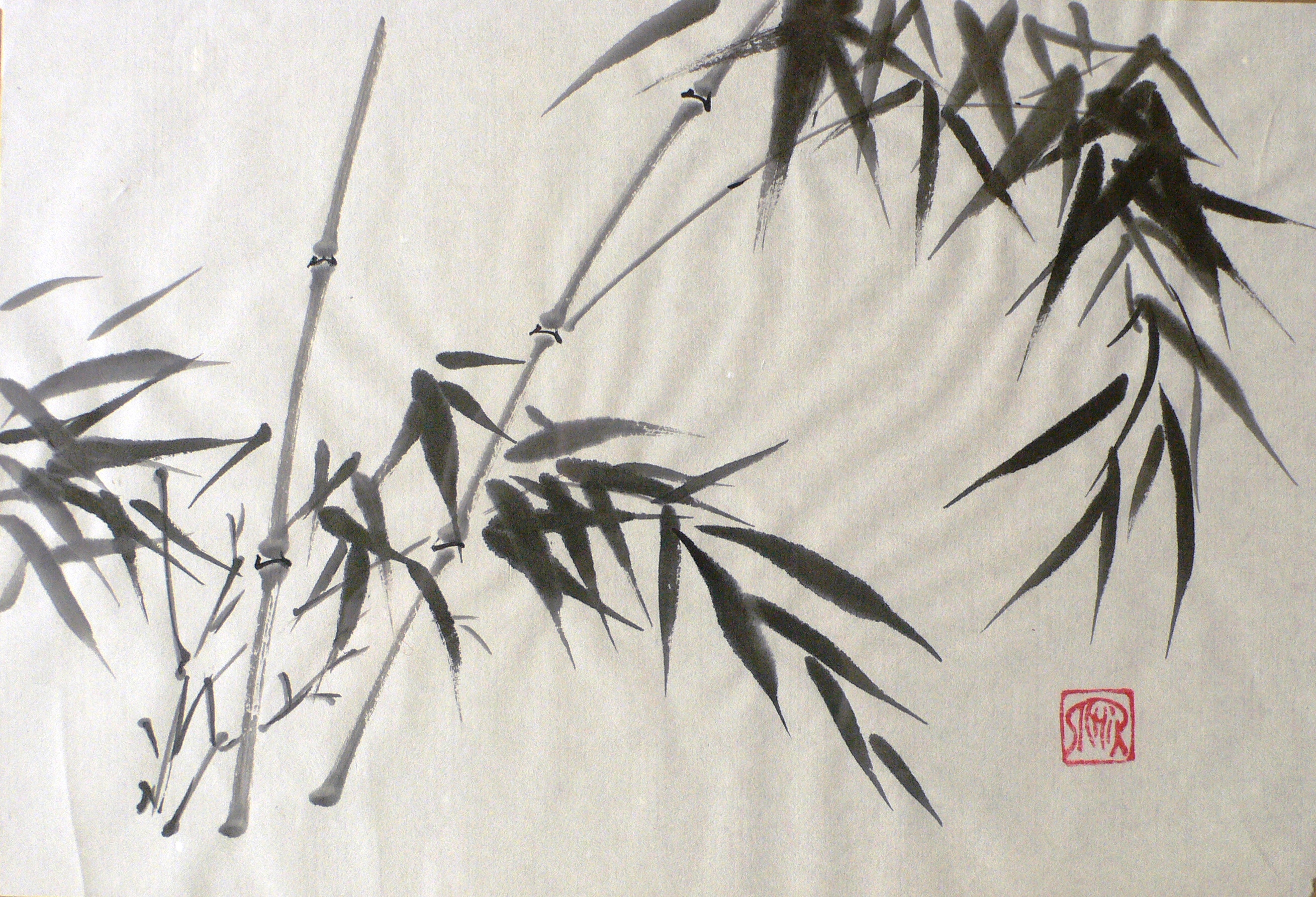 Bambus 15