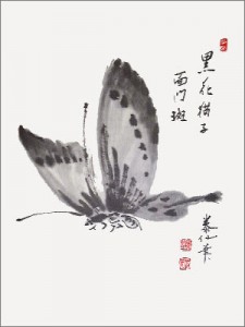 15.sum-sensei-papillon-le-papillon-est-beau--mais-porteur-de-venin.jpg